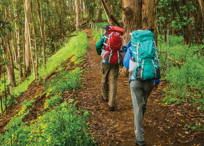Top Podcasts to Listen to While Hiking